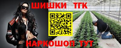 сатива Малоярославец